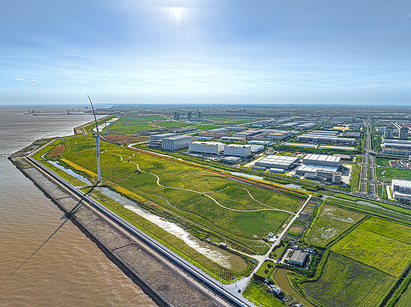 珠海市運輸阿拉伯聯合酋長國——迪巴跨境電商物流專線解說