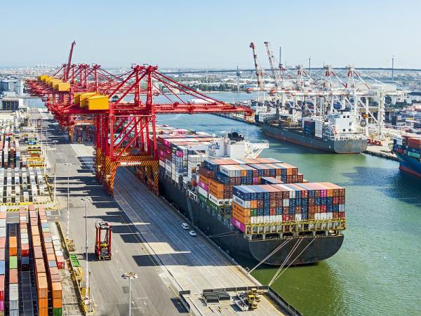 北京市到埃及——坦塔貨運代理公司合作