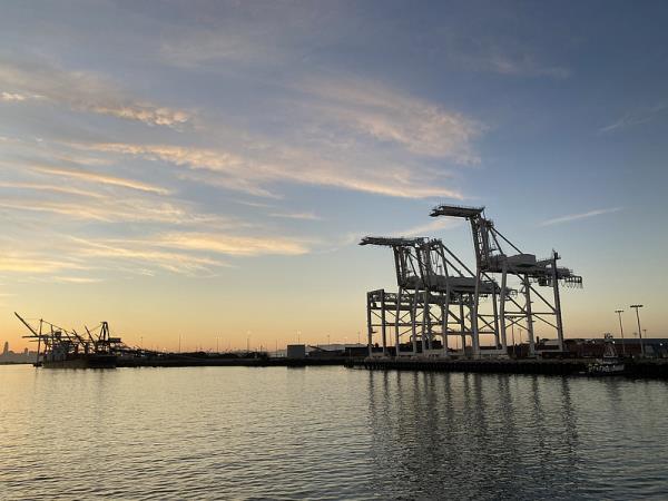 樣品化妝棉/卸妝棉從北京市采用海運貨代抵