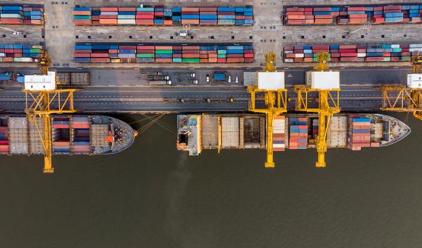 物品烏木經(jīng)深圳市選用輪船速遞抵達歐盟