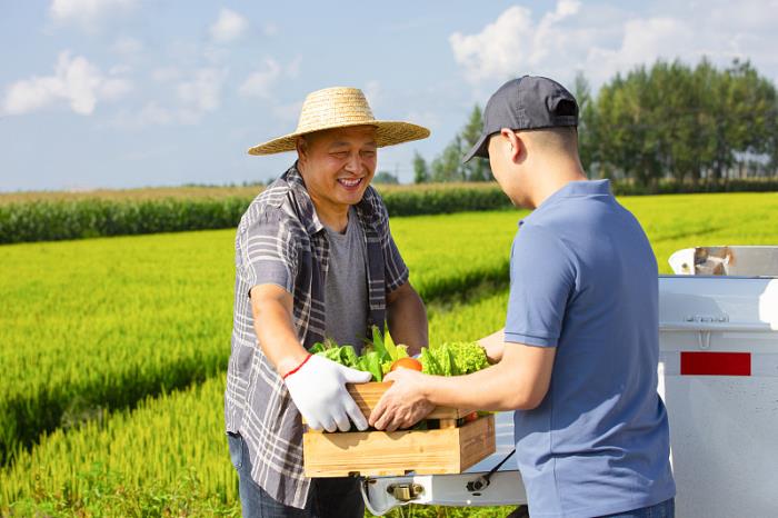 國際快遞和國際物流的區別詳解：跨境運輸方式全方位對比