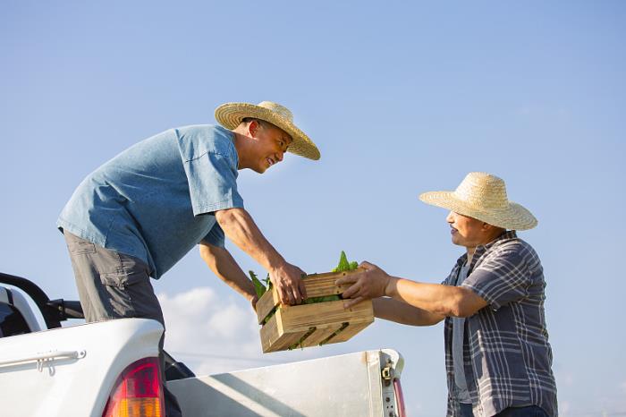 貨代公司的核心資源-倉位到底是從哪里來的