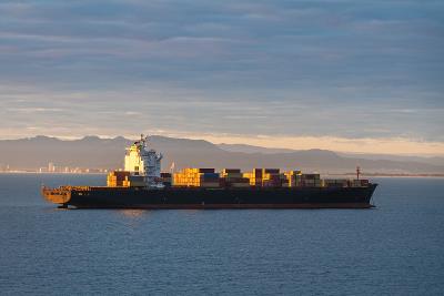 東莞市速優物流有限公司部分資料