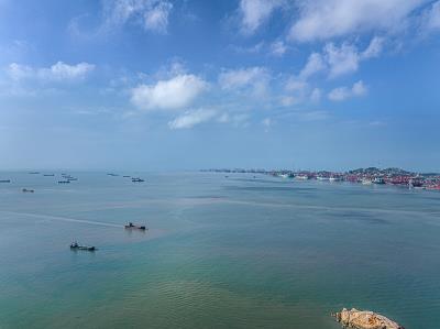 深圳市深越國際物流有限公司有關概要