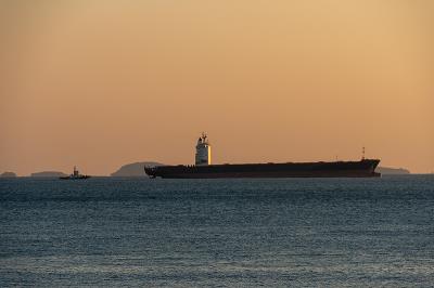 肇慶市高新區迅遞物流有限公司相關介紹