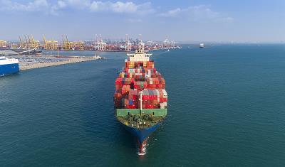 深圳市鑫鴻峰物流有限公司有關概要