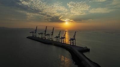 廣州市明磊物流有限公司簡單說明