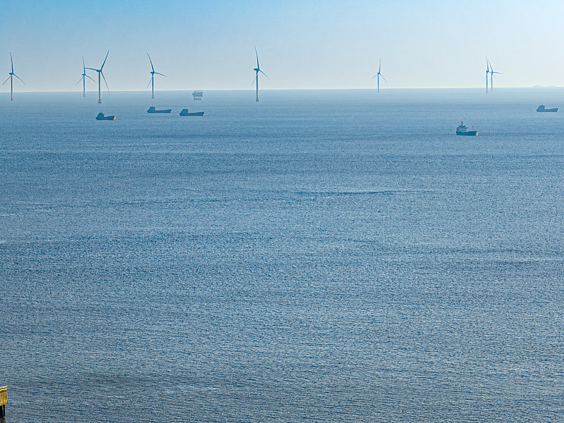 [外貿術語]ams是什么意思_外貿術語_外貿知識網