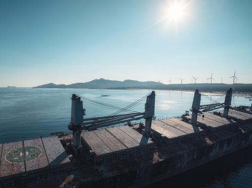女子遛狗時被飛機撞擊脊柱骨折!