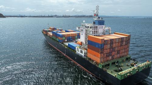 Temu與Shein產品檢出有害物質,奧地利貿易協