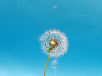 ONE更新LUX航線以提高服務穩定性