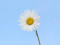 16家機構組建海運人才培育聯盟