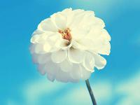 16家機構組建海運人才培育聯盟