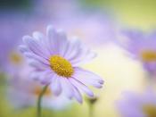 達(dá)飛將成立新合資公司,深化中東港口布局