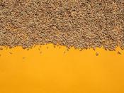 廣州領速物流有限公司簡單說明