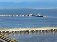 貨品緬茄木從唐山市采用海運運送至印度尼西亞——巴東