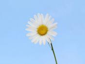 提高效率!里加港加快采用數字物流平臺上海