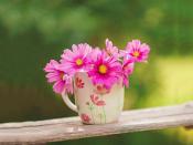 達飛將成立新合資公司,深化中東港口布局