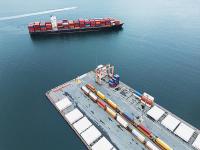 貨品木制農(nóng)業(yè)用品從深圳市采取輪船貨代抵到坦桑尼亞