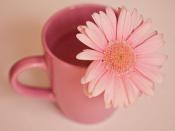 達(dá)飛將成立新合資公司,深化中東港口布局