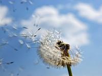 上饒市抵美國異國城市電子商務運輸簡述