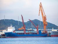 劉強東拿下新加坡物流樞紐,京東全面起飛上海國際物流