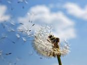 GCU燃燒試驗收官!全球最大LNG運輸加注船功