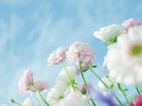 燃油附加仍將上調航空公司透露總局正在討論上海國際空運